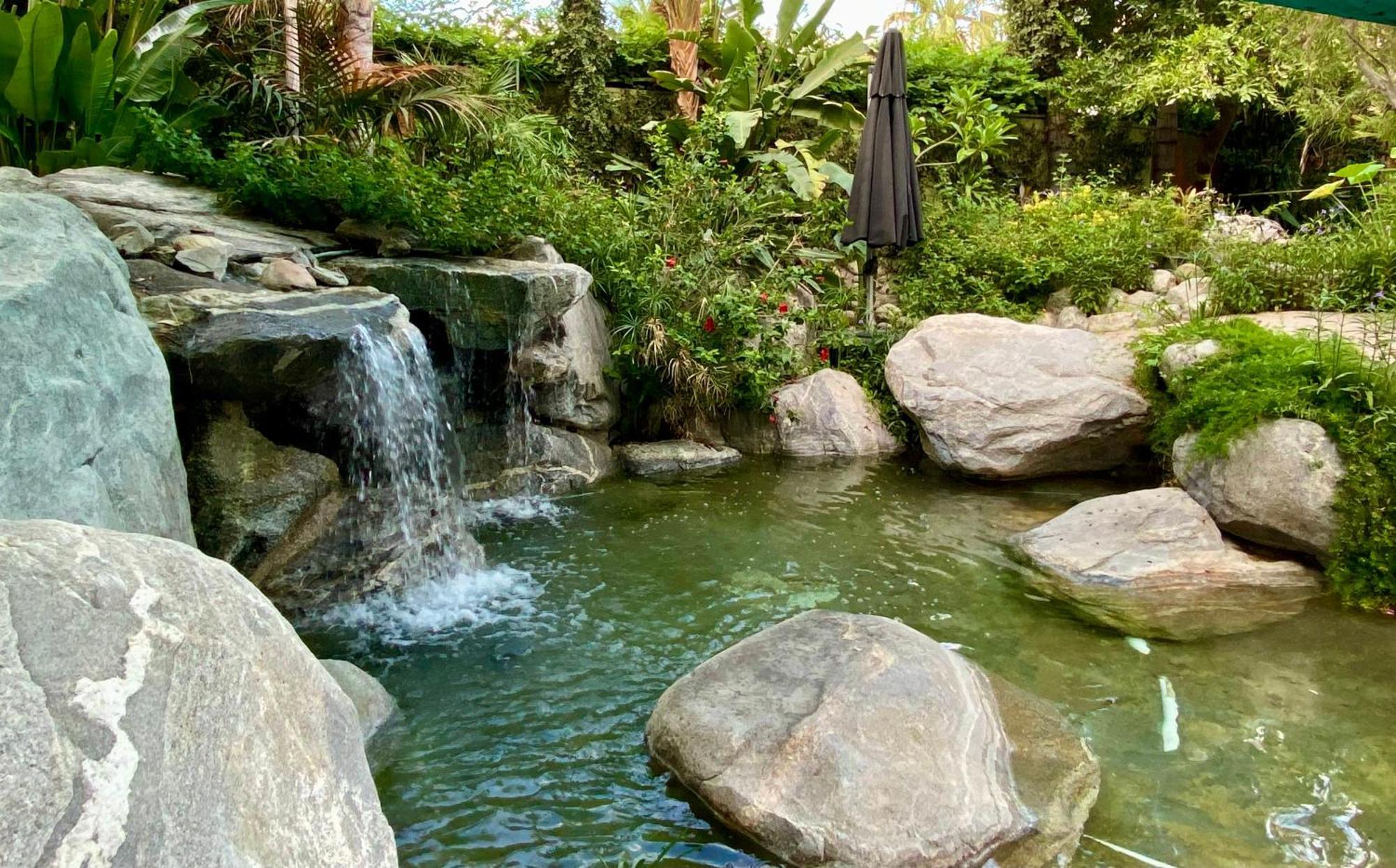 Vista Grande Resort - A Gay Men'S Resort Palm Springs Kültér fotó